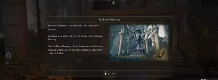 Elden Ring Shadow of the Erdtree: All Scadutree Fragment locations Elden Ring Shadow of the Erdtree: All Scadutree Fragment locations