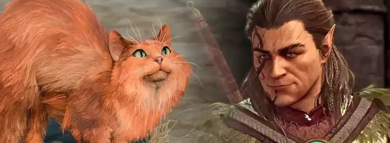 Baldur’s Gate 3's cat run is the purrfect way to play Baldur’s Gate 3's cat run is the purrfect way to play